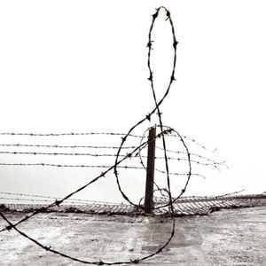 Meet your Posher, Hamdani